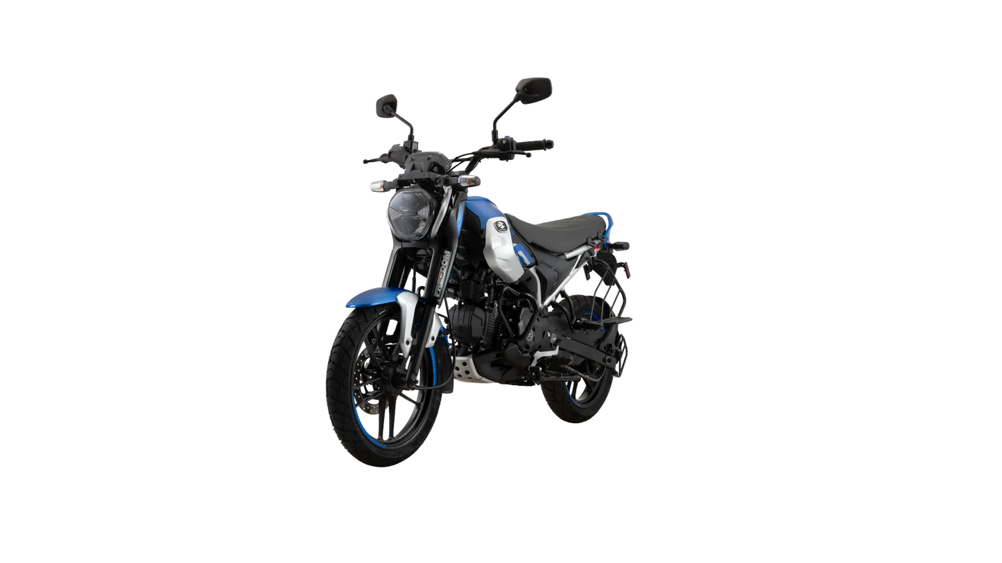 Bajaj Freedom 125 NG04 Disc LED