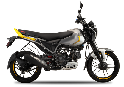 Bajaj Freedom 125 NG04 Drum