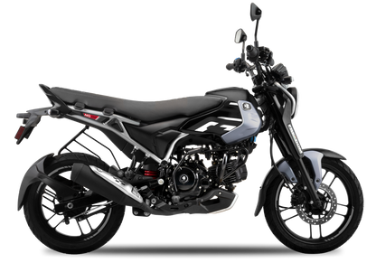 Bajaj Freedom 125 NG04 Disc LED